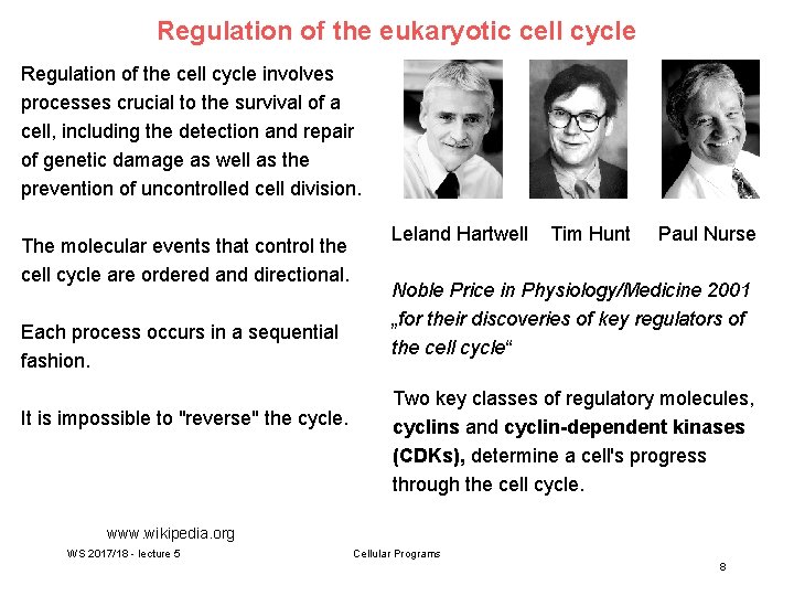 Regulation of the eukaryotic cell cycle Regulation of the cell cycle involves processes crucial