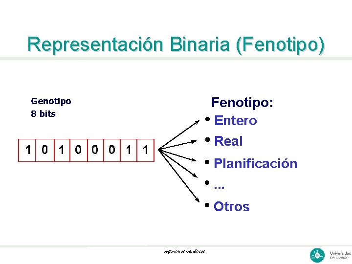 Representación Binaria (Fenotipo) Genotipo 8 bits Fenotipo: • Entero • Real • Planificación •