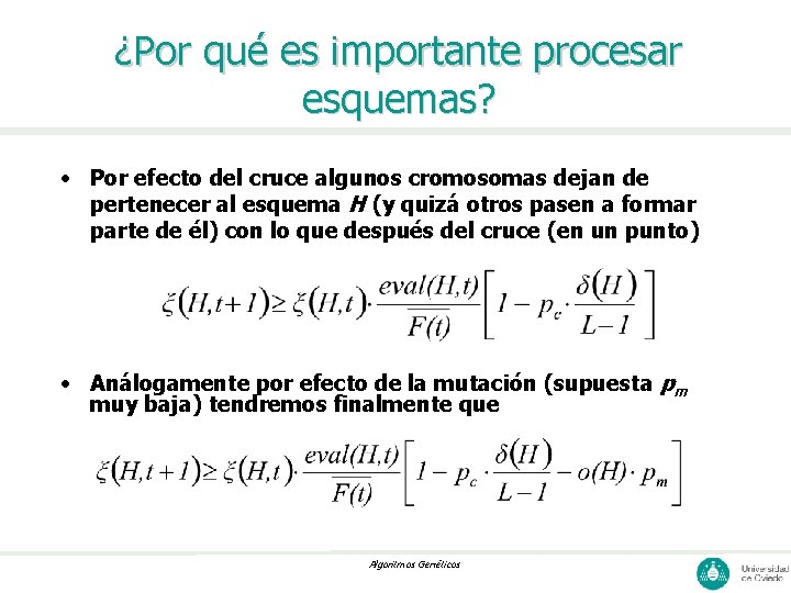 ¿Por qué es importante procesar esquemas? • Por efecto del cruce algunos cromosomas dejan