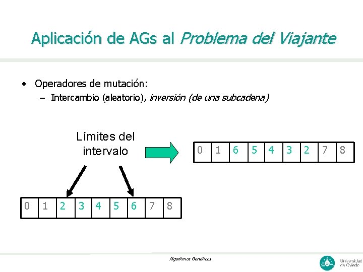 Aplicación de AGs al Problema del Viajante • Operadores de mutación: – Intercambio (aleatorio),