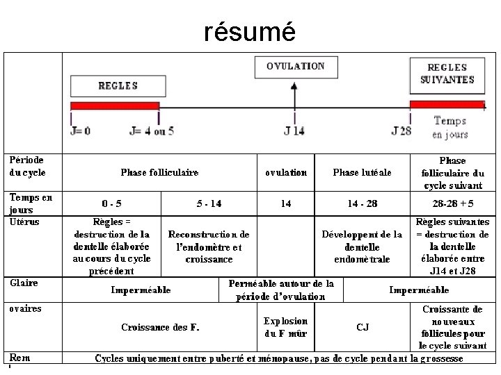 résumé 