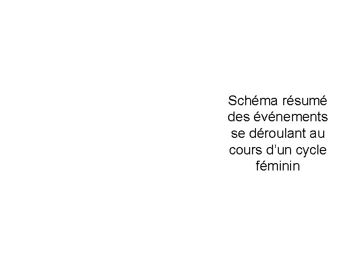 Schéma résumé des événements se déroulant au cours d’un cycle féminin 