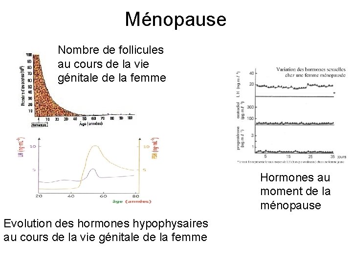 Ménopause Nombre de follicules au cours de la vie génitale de la femme Hormones