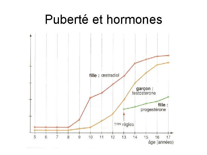 Puberté et hormones 
