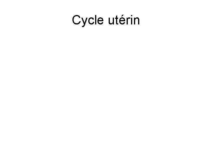 Cycle utérin 