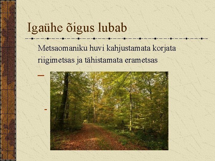 Igaühe õigus lubab Metsaomaniku huvi kahjustamata korjata riigimetsas ja tähistamata erametsas 