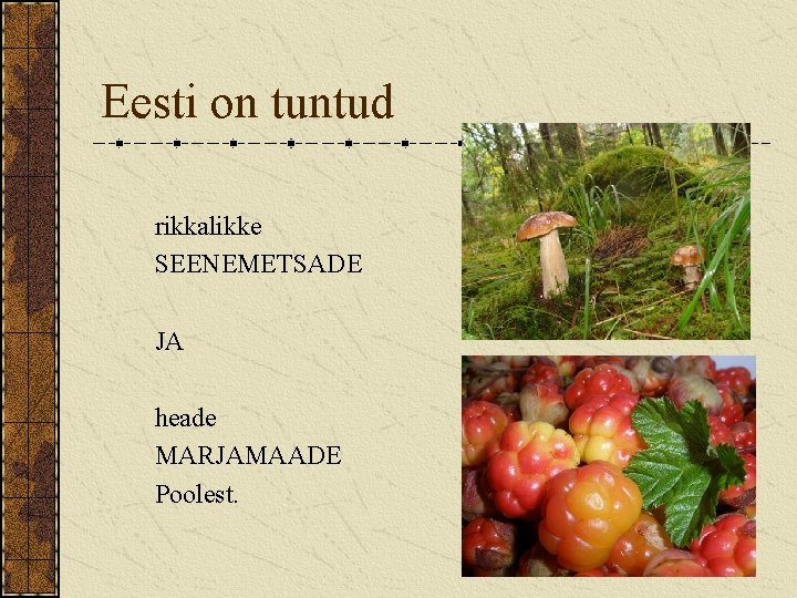 Eesti on tuntud rikkalikke SEENEMETSADE JA heade MARJAMAADE Poolest. 