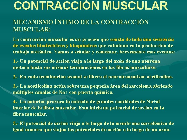 CONTRACCIÓN MUSCULAR MECANISMO ÍNTIMO DE LA CONTRACCIÓN MUSCULAR: La contracción muscular es un proceso