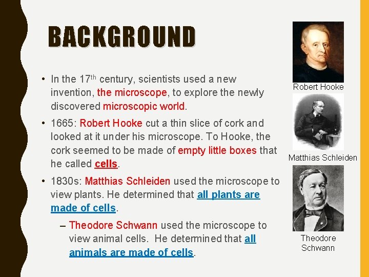 BACKGROUND • In the 17 th century, scientists used a new invention, the microscope,