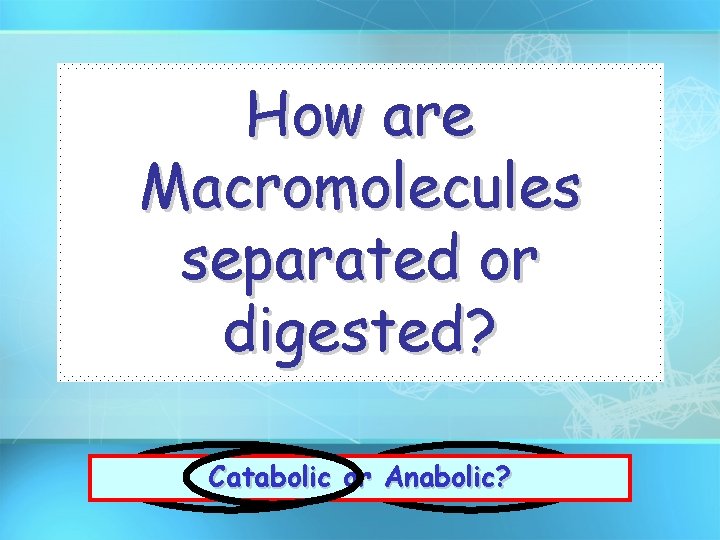 How are Macromolecules separated or digested? Release Endergonic Catabolic Energy or or Anabolic? Exergonic?