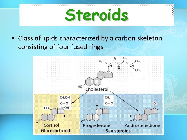 Steroids • Class of lipids characterized by a carbon skeleton consisting of four fused