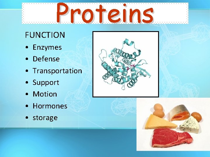 Proteins FUNCTION • • Enzymes Defense Transportation Support Motion Hormones storage 