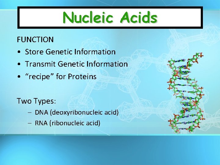 Nucleic Acids FUNCTION • Store Genetic Information • Transmit Genetic Information • “recipe” for
