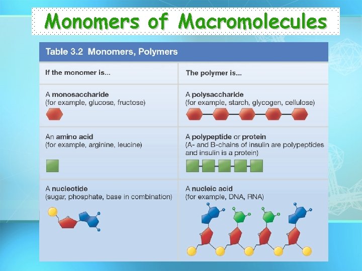 Monomers of Macromolecules 