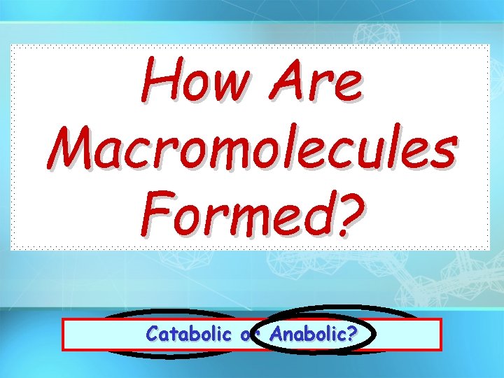 How Are Macromolecules Formed? Release Endergonic Catabolic Energy or or Anabolic? Exergonic? Store Energy?
