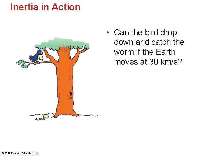 Inertia in Action • Can the bird drop down and catch the worm if