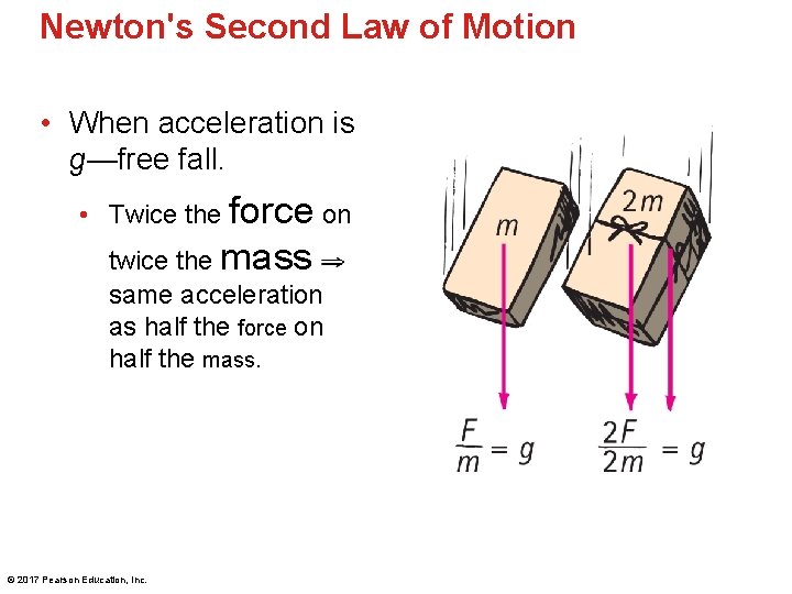 Newton's Second Law of Motion • When acceleration is g—free fall. • Twice the