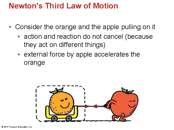 Newton's Third Law of Motion • Consider the orange and the apple pulling on