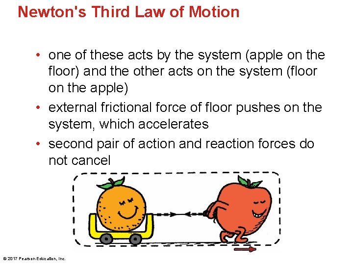 Newton's Third Law of Motion • one of these acts by the system (apple