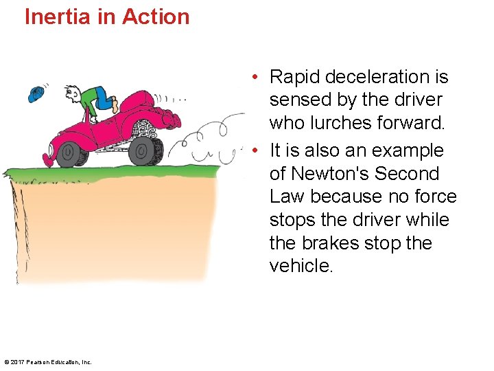 Inertia in Action • Rapid deceleration is sensed by the driver who lurches forward.