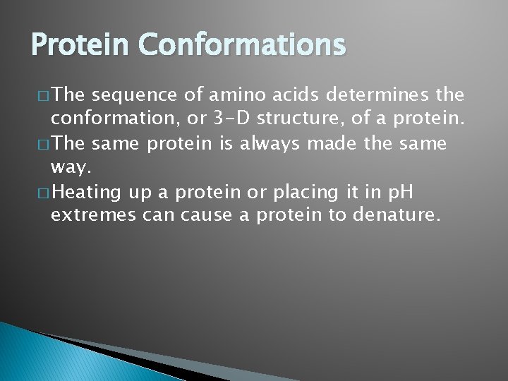 Protein Conformations � The sequence of amino acids determines the conformation, or 3 -D