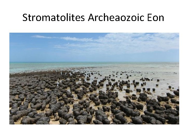 Stromatolites Archeaozoic Eon 