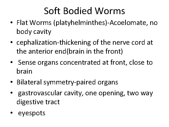 Soft Bodied Worms • Flat Worms (platyhelminthes)-Acoelomate, no body cavity • cephalization-thickening of the