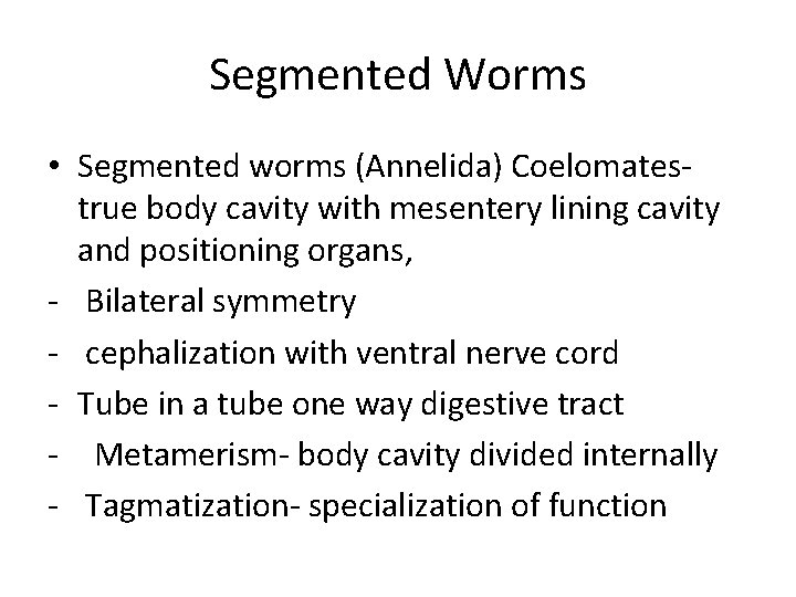 Segmented Worms • Segmented worms (Annelida) Coelomatestrue body cavity with mesentery lining cavity and