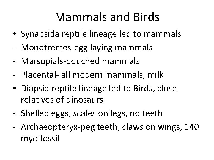 Mammals and Birds Synapsida reptile lineage led to mammals Monotremes-egg laying mammals Marsupials-pouched mammals