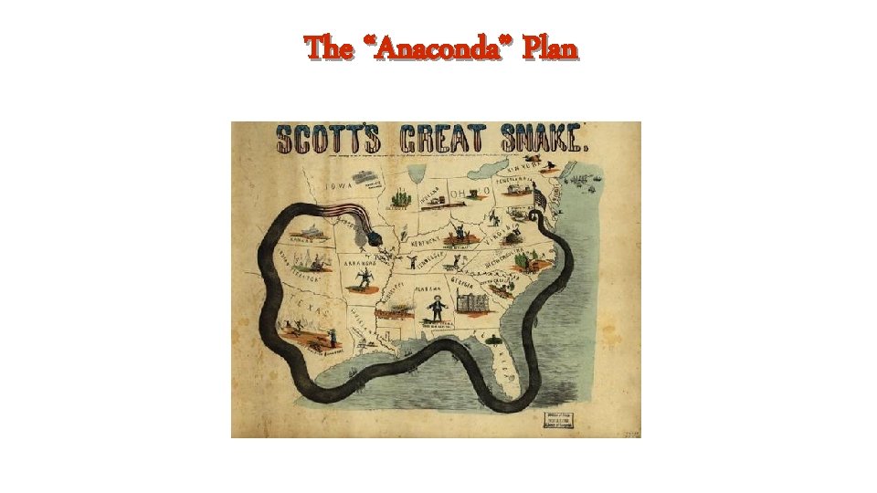 The “Anaconda” Plan 