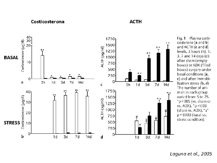 Costicosterona ACTH BASAL STRESS Laguna et al. , 2005 