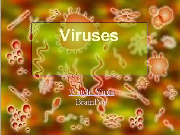 Viruses Watch: Virus Brain. Pop 