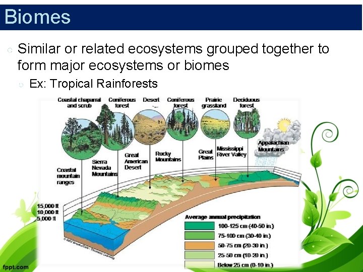 Biomes ○ Similar or related ecosystems grouped together to form major ecosystems or biomes