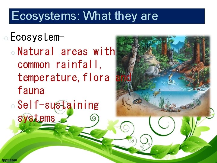 Ecosystems: What they are ○ Ecosystem○ Natural areas with common rainfall, temperature, flora and