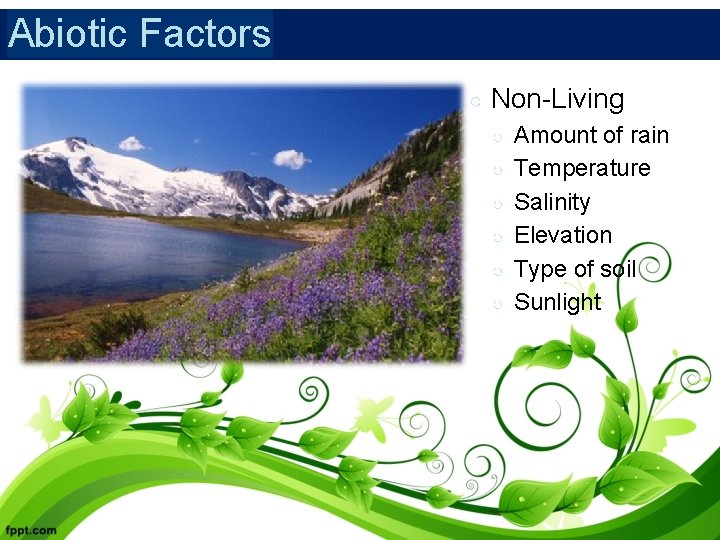Abiotic Factors ○ Non-Living ○ ○ ○ Amount of rain Temperature Salinity Elevation Type