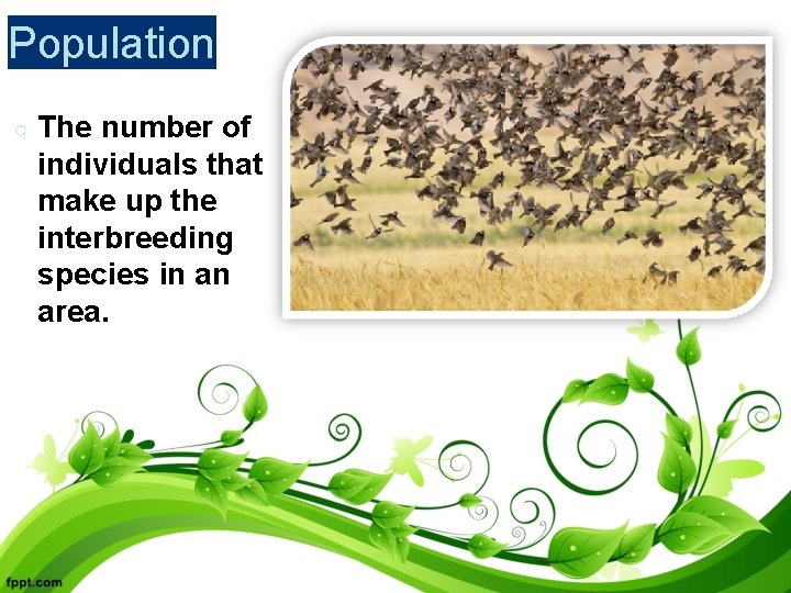 Population ○ The number of individuals that make up the interbreeding species in an