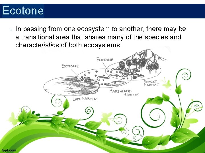 Ecotone ○ In passing from one ecosystem to another, there may be a transitional