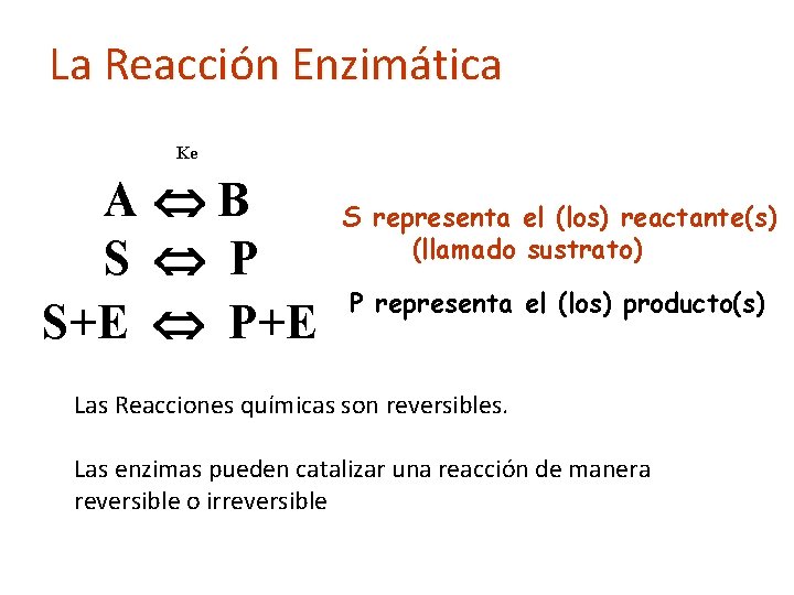 La Reacción Enzimática Ke A B S P S+E P+E S representa el (los)