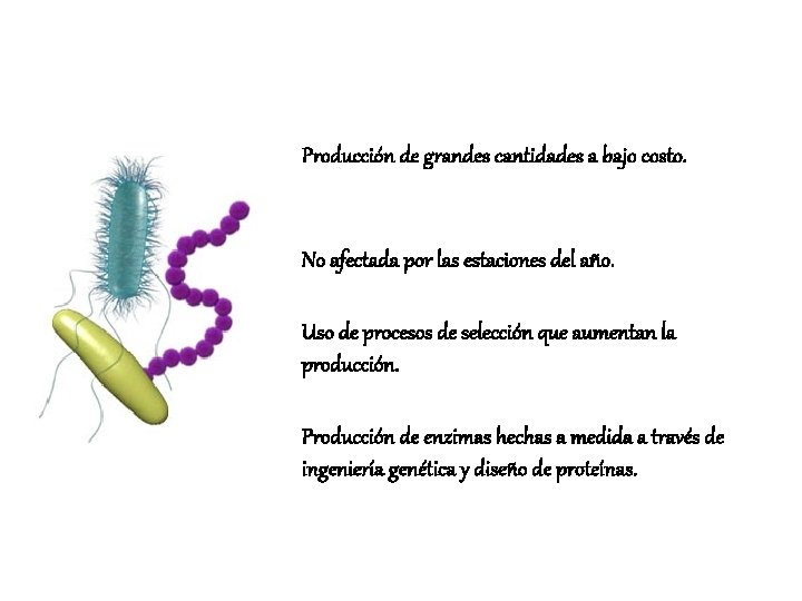 Producción de grandes cantidades a bajo costo. No afectada por las estaciones del año.