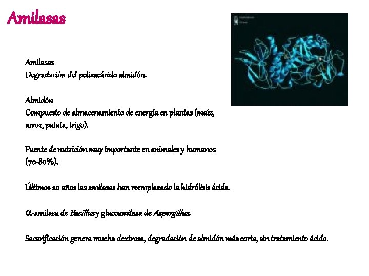 Amilasas Degradación del polisacárido almidón. Almidón Compuesto de almacenamiento de energía en plantas (maíz,