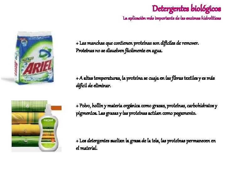 Detergentes biológicos La aplicación más importante de las enzimas hidrolíticas + Las manchas que