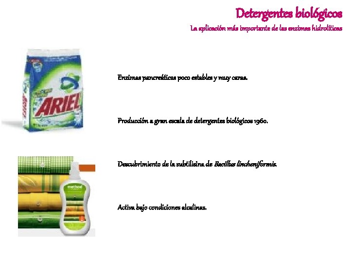 Detergentes biológicos La aplicación más importante de las enzimas hidrolíticas Enzimas pancreáticas poco estables