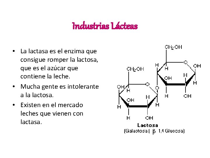 Industrias Lácteas • La lactasa es el enzima que consigue romper la lactosa, que