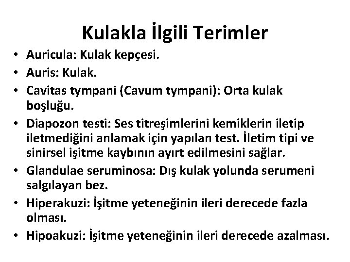 Kulakla İlgili Terimler • Auricula: Kulak kepçesi. • Auris: Kulak. • Cavitas tympani (Cavum