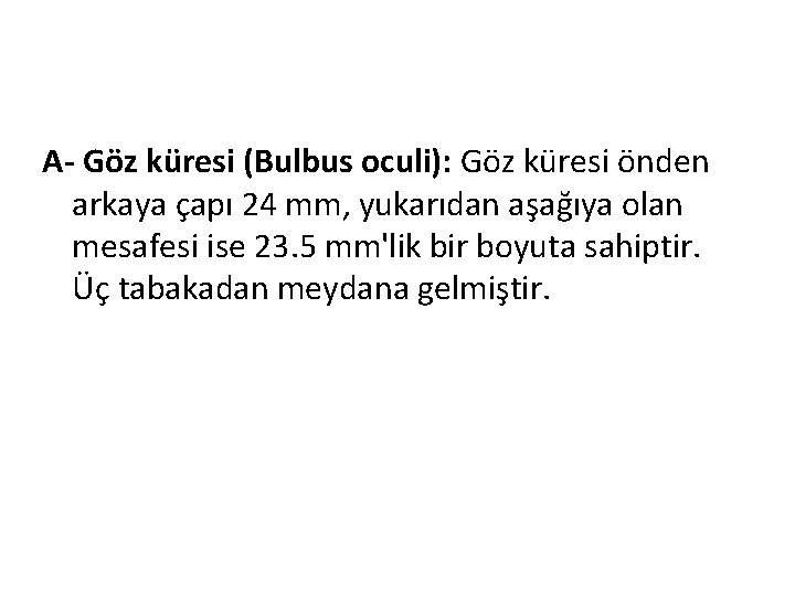 A- Göz küresi (Bulbus oculi): Göz küresi önden arkaya çapı 24 mm, yukarıdan aşağıya