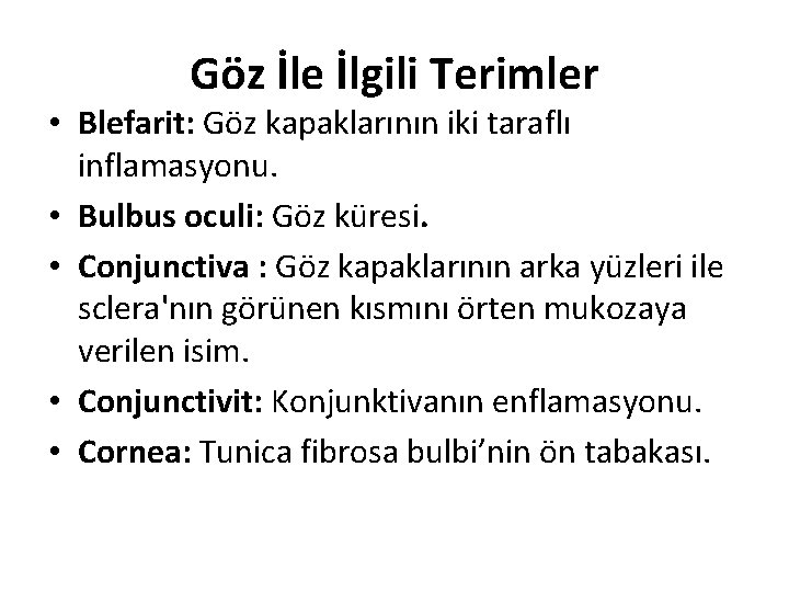 Göz İle İlgili Terimler • Blefarit: Göz kapaklarının iki taraflı inflamasyonu. • Bulbus oculi: