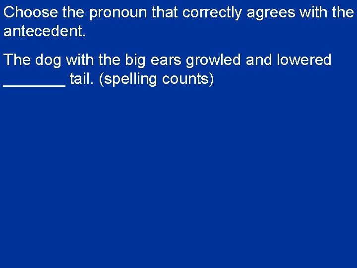 Choose the pronoun that correctly agrees with the antecedent. The dog with the big