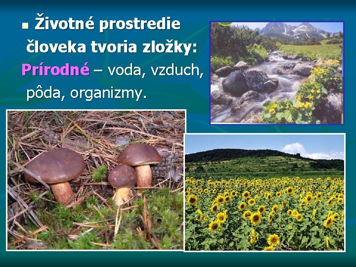 Životné prostredie človeka tvoria zložky: Prírodné – voda, vzduch, pôda, organizmy. n 