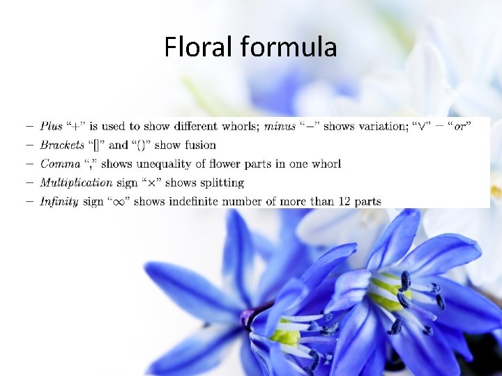 Floral formula 