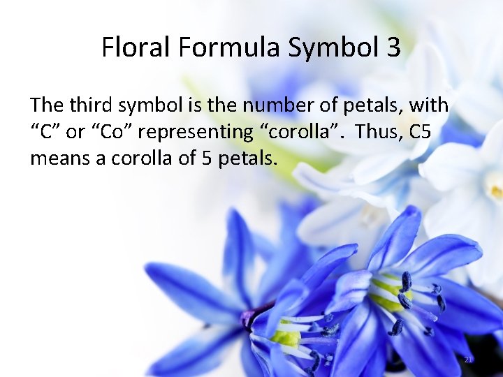 Floral Formula Symbol 3 The third symbol is the number of petals, with “C”